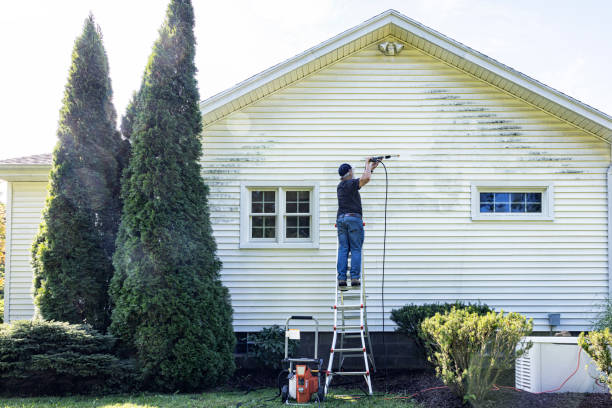 Best House Exterior Washing  in Laurel, FL